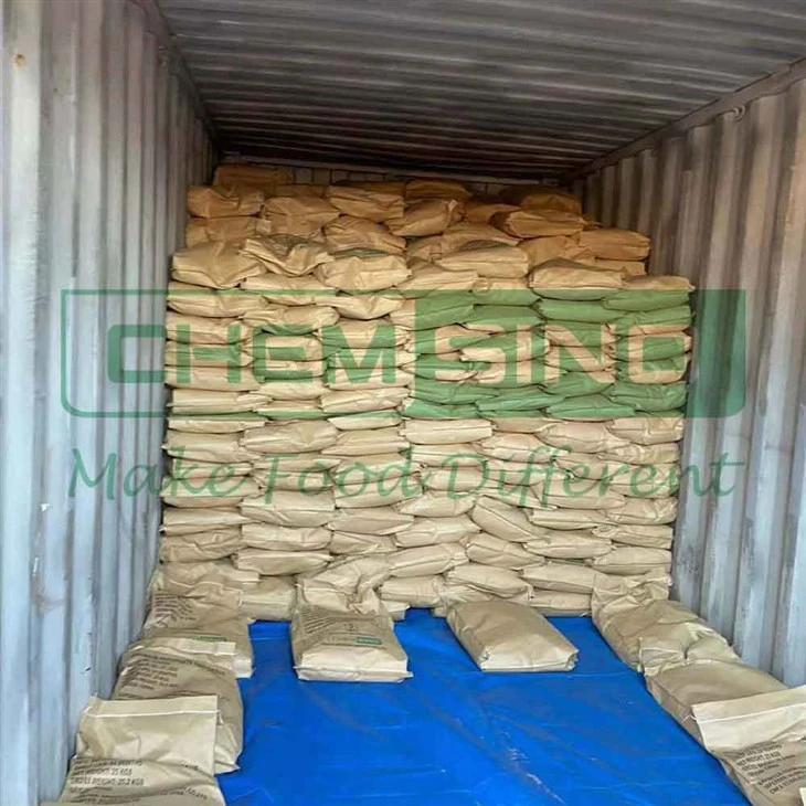 Glycerol Monostearate GMS 40 Flake For Facial Cleansers CAS No.31566-31-1
