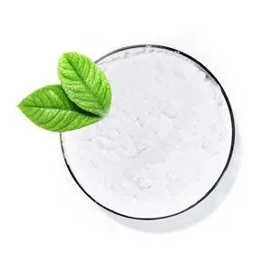 Natamycin: A Natural Antifungal Wonder For Food Preservation CAS No.:7681-93-8