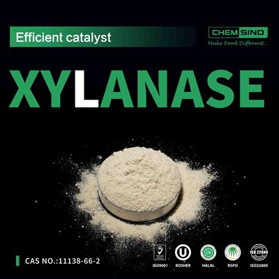رونمایی از CAS 9025-57-4: قدرت آنزیم زایلاناز!