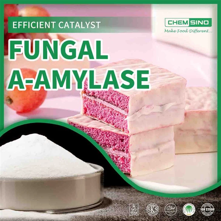 کاربرد آنزیم پخت قارچ A-Amylase در نان