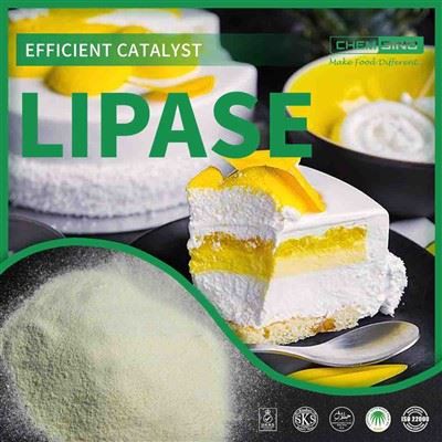 روده خود را دوست داشته باشید: آنزیم لیپاز کارایی گوارش را افزایش می دهد CAS NO.:9001-62-1