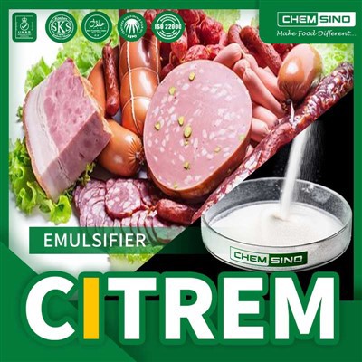 سازنده امولسیفایر CITREM E472c قابل اعتماد|CAS 36291-32-4